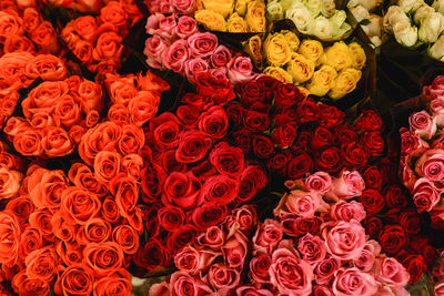 Full frame shot of multi colored flowers in market