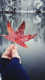 Close-up of hand holding maple leaf in lake