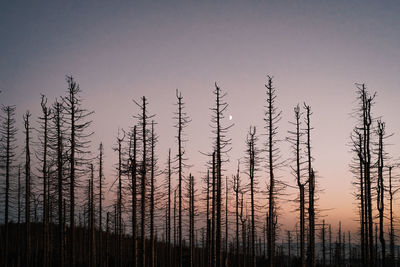 Scenic view of sunset