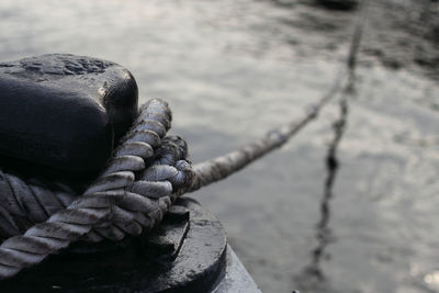 Close-up of rope tied on pier