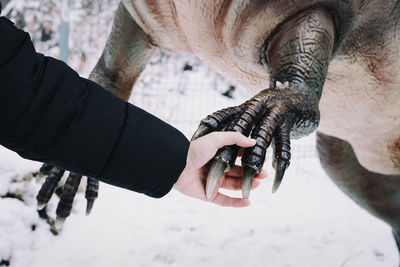 Cropped hand of man holding animal