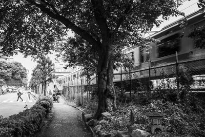 Street amidst trees and buildings in city