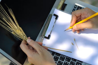 Low angle view of person working