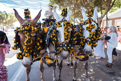 Mules with bright decorations on bridles pulling cart with man during fair on street of seville, spain