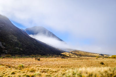 Scenic view of landscape against sky