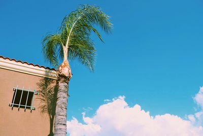 Low angle view of building against blue sky