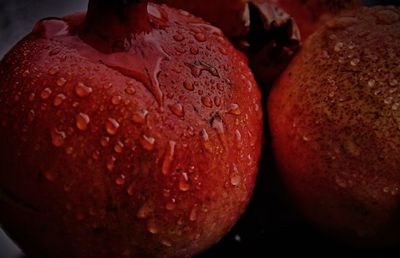 Close-up of wet orange