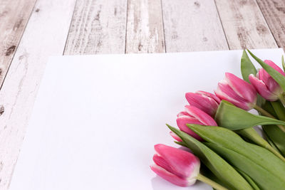 Close-up of pink flowers on table