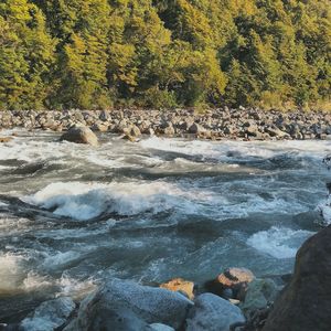 Stream flowing through rocks