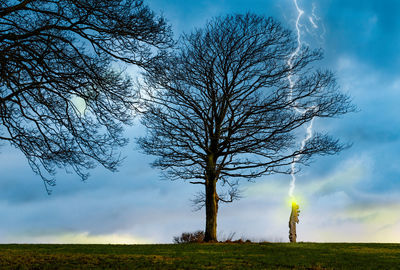 Bare tree on field against sky