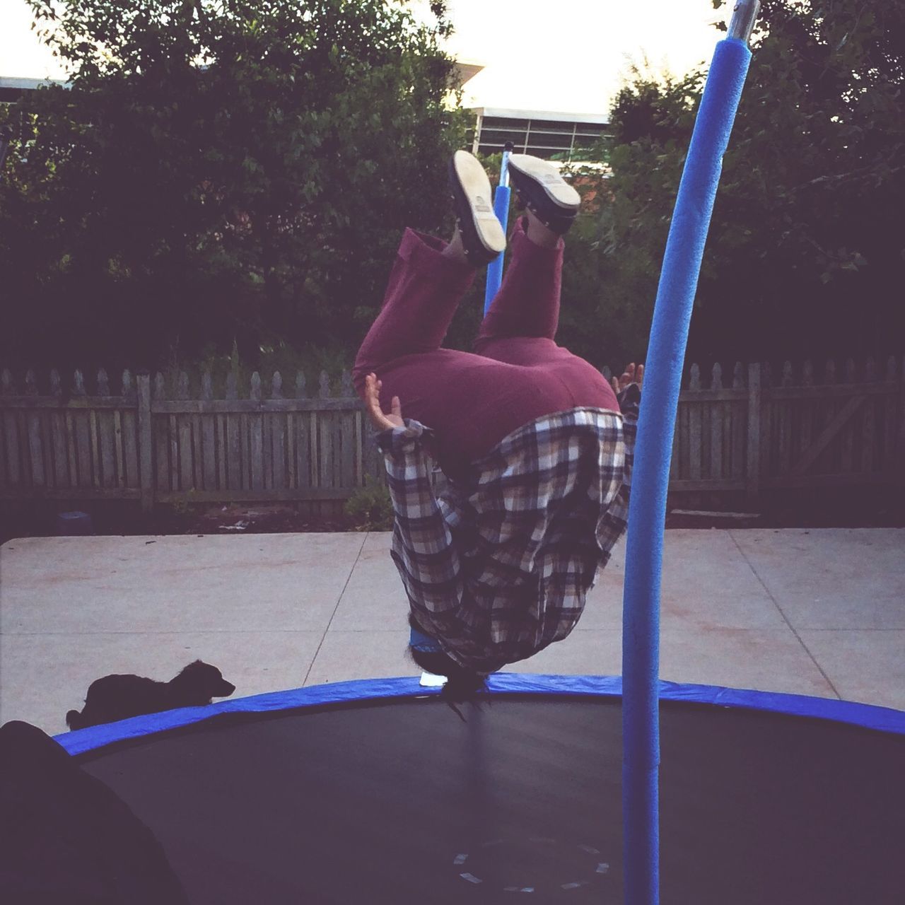 Trampoline