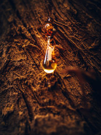 High angle view of lit candles on wood