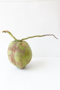 Close-up of fruit against white background