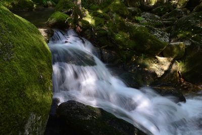 Stream flowing through rocks in forest