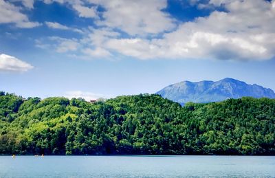 Scenic view of lake by trees against sky