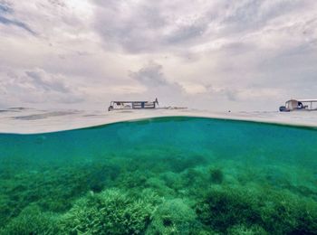 Scenic view of sea against sky