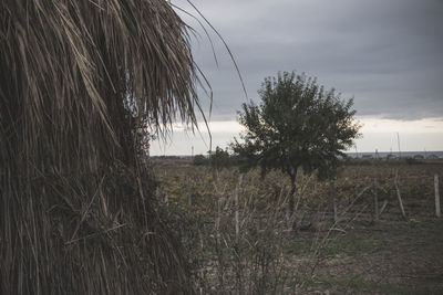 Scenic view of field against cloudy sky