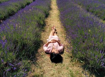 High angle view of young woman sleeping on field amidst flowers