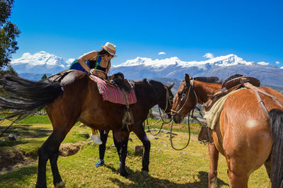 Horses on field against sky