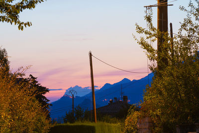 Plants and trees against sky during sunset