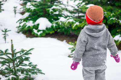 Rear view of 3 year old child in winter looking for a christmas tree