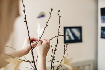 Woman holding plant