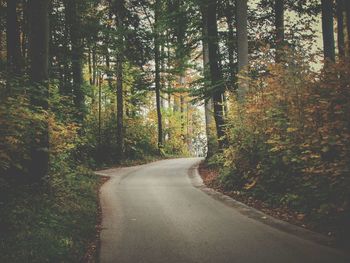 Road amidst trees in forest during autumn