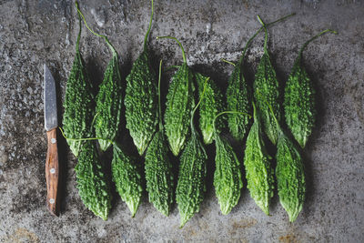Close-up of leaves in row