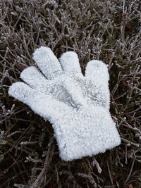 Close-up of snow on field