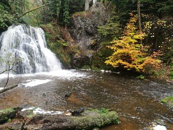 Scenic view of waterfall in forest