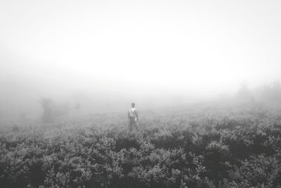 Man standing on field in foggy weather