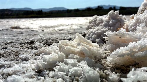 Close-up of salt at beach