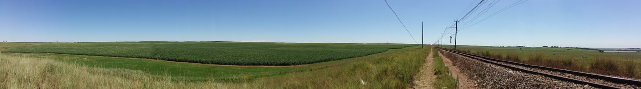 Panoramic view of agricultural field against clear sky