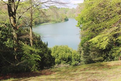 Scenic view of lake in forest against sky