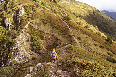 Rear view of young woman in yellow hoodie  with backpack hiking in picturesque mountain valley hike