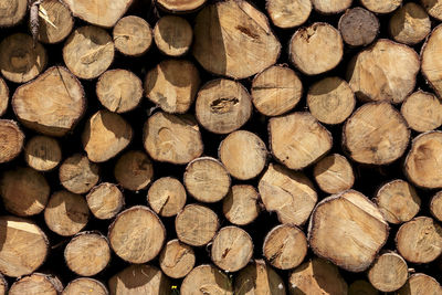 Full frame shot of logs