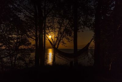 Bare trees at sunset