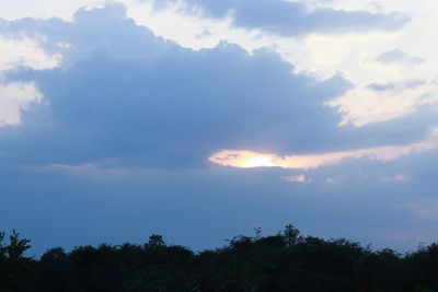 Low angle view of silhouette trees against sky