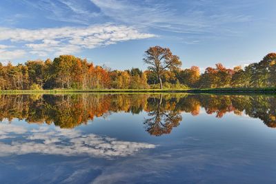 Reflection of trees in lake against sky during autumn