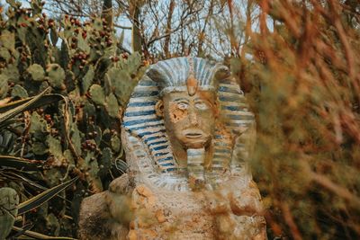 Portrait of cat on tree