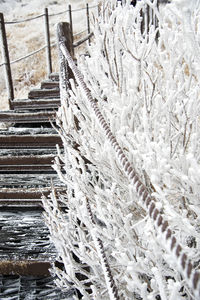 View of snow covered landscape