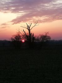 Silhouette trees on field against sky during sunset
