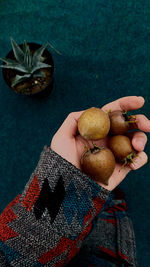 High angle view of hand holding fruits