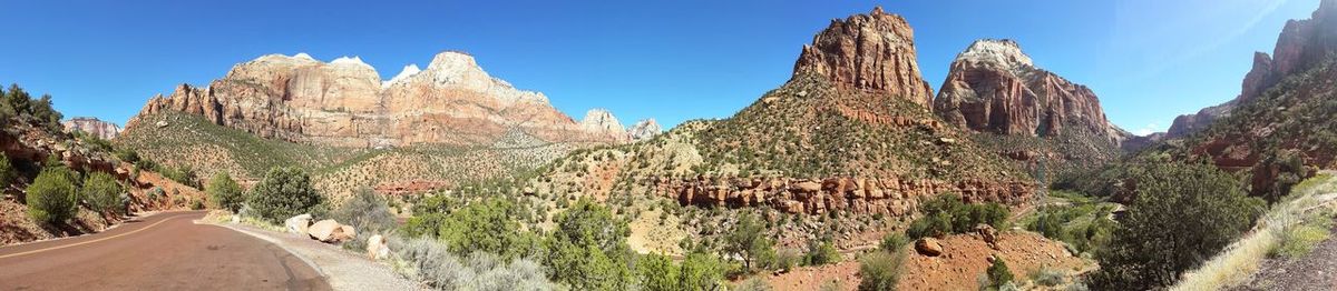 Panoramic view of trees