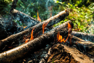 Bonfire on field