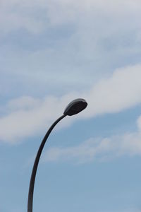 Low angle view of bird against sky