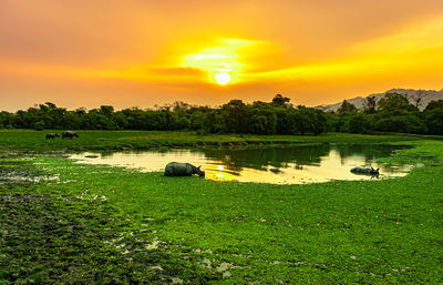 Scenic view of lake against sky during sunset