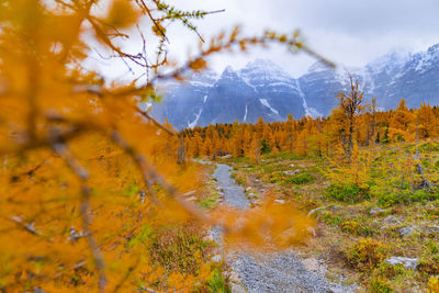 Scenic view of snowcapped mountains during autumn