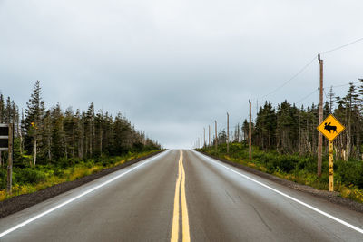 Empty road amidst trees against sky