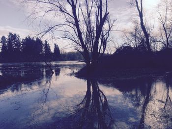 Reflection of trees in lake